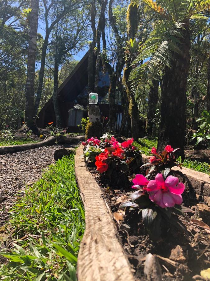 São Francisco de Paula A Cabana Sao Chico מראה חיצוני תמונה
